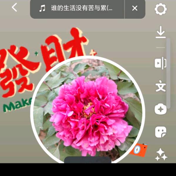 快乐人生