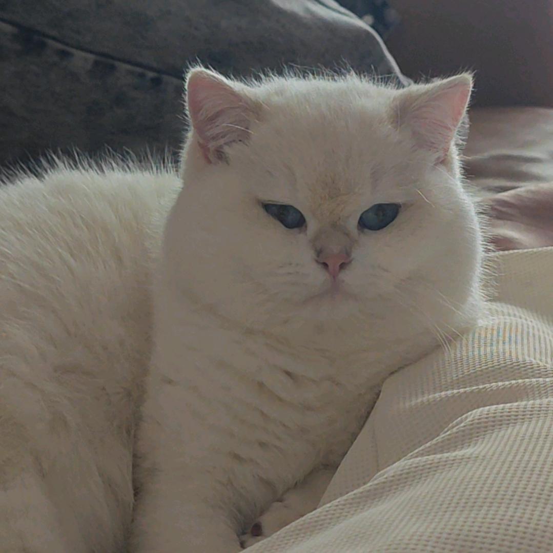 hua