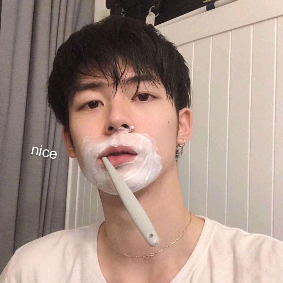 折花载酒是少年