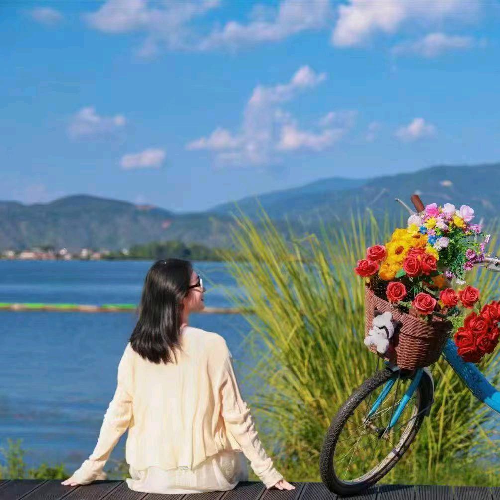 花准北.咨询