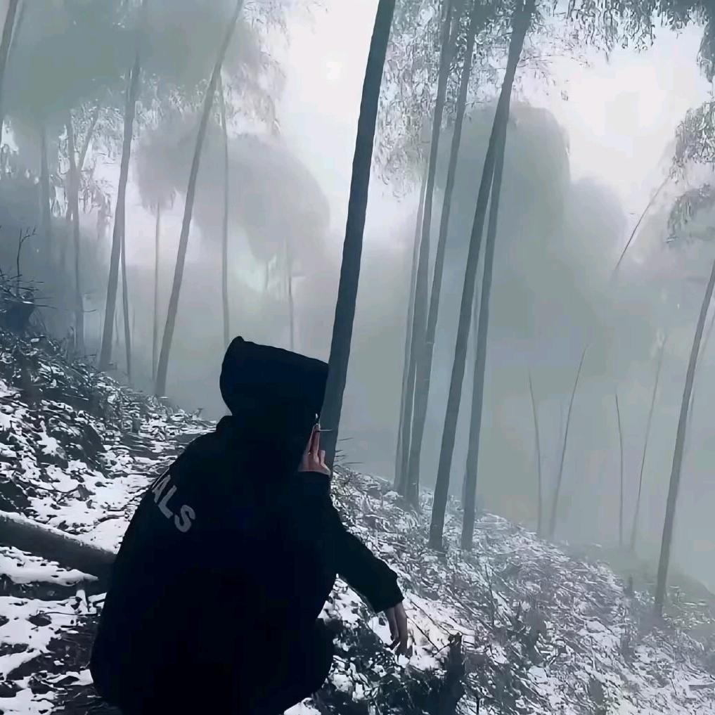 🚬ღᩚ᭄     仧乆