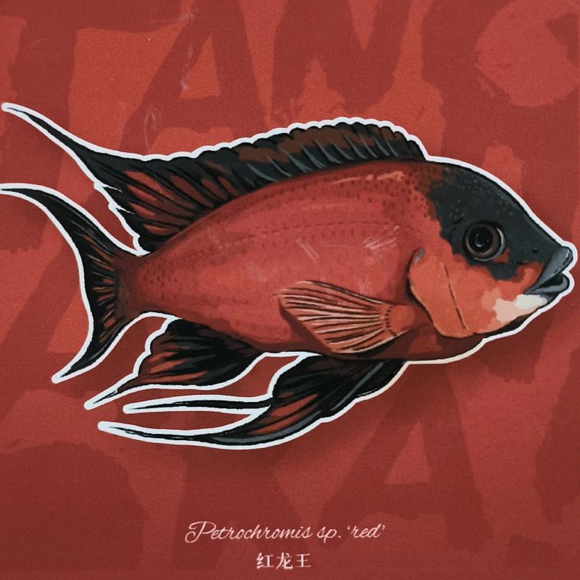 三湖宠物生活坊