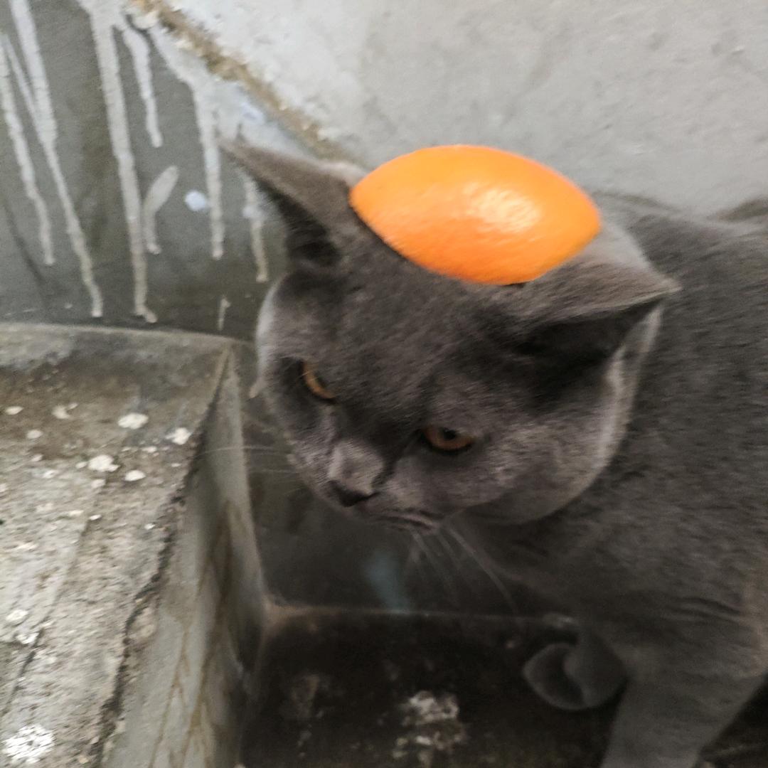 果然你大爷还是你大爷