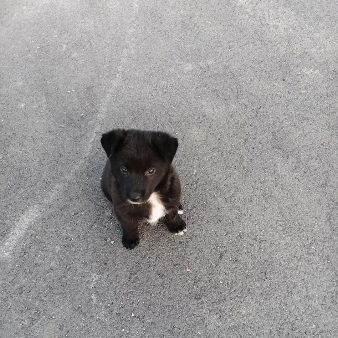 敷衍