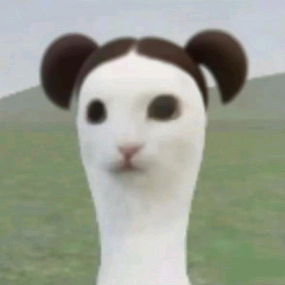 阿哲今天没画画