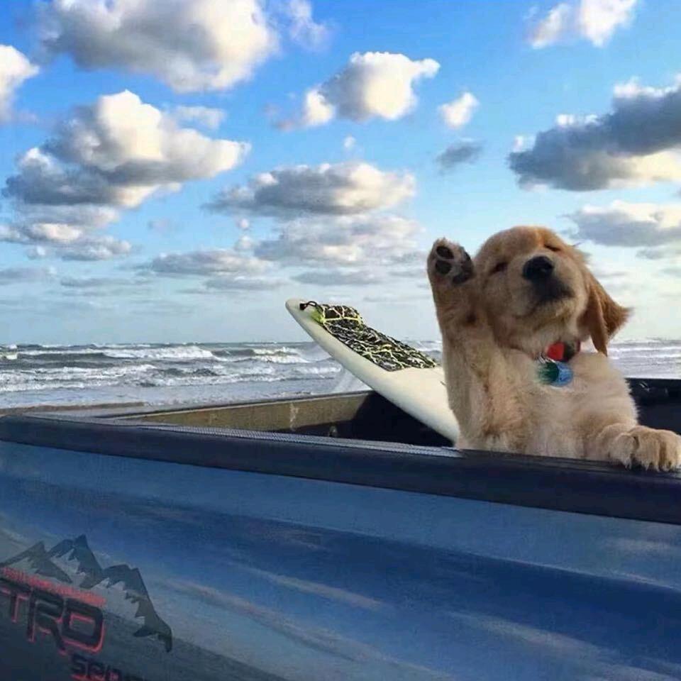 最熟悉的陌生人