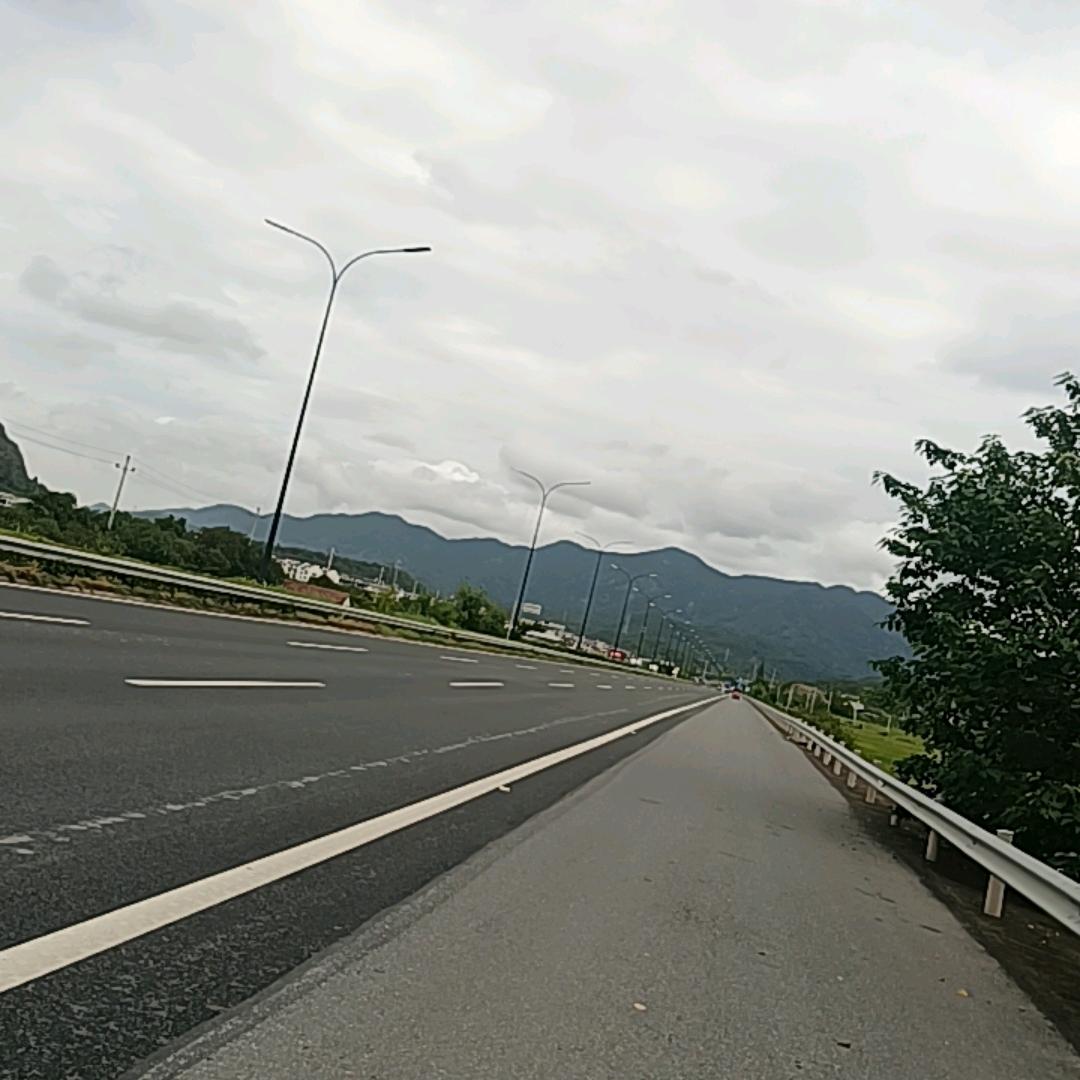 单身男人陈發