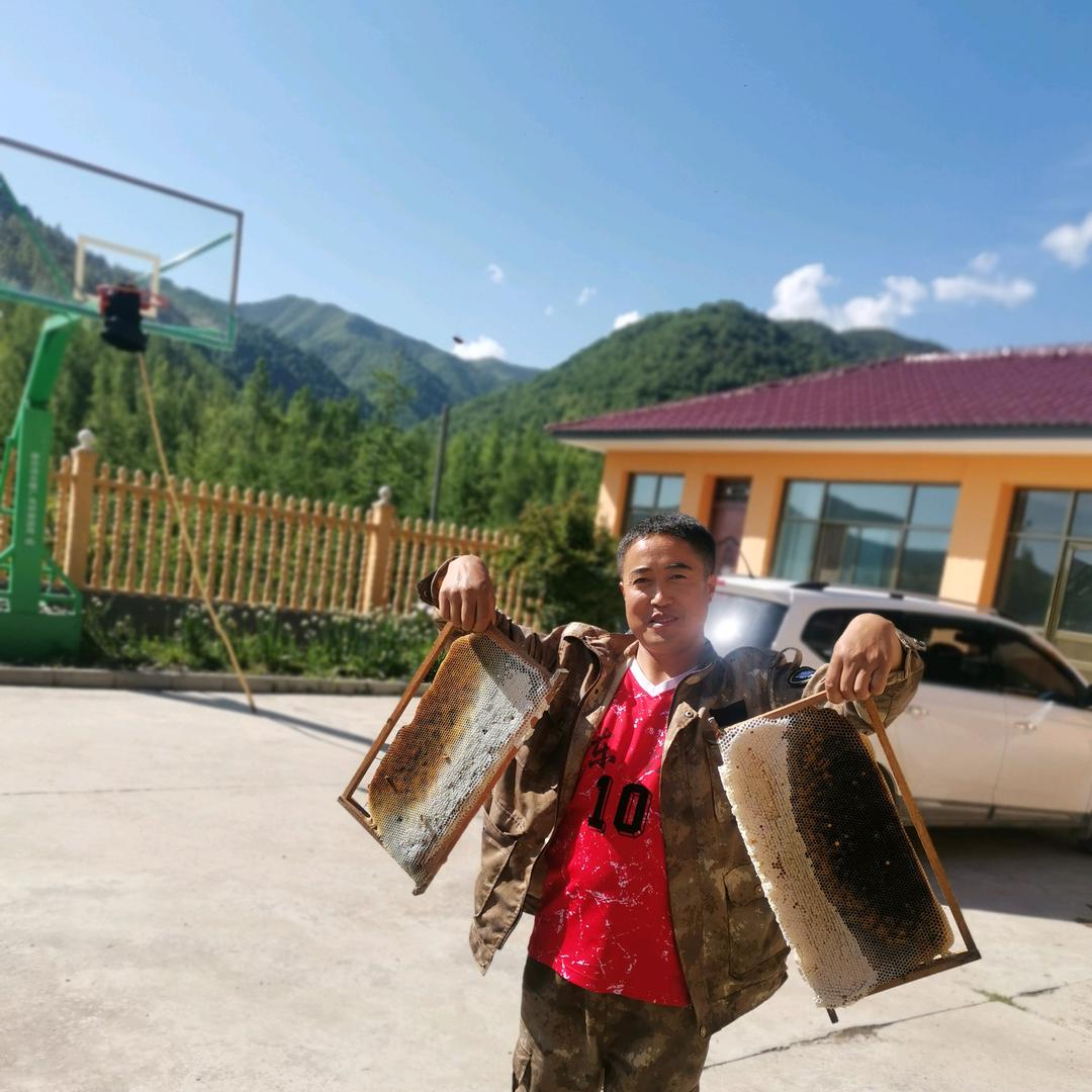 太子山后东湾中蜂百花蜜