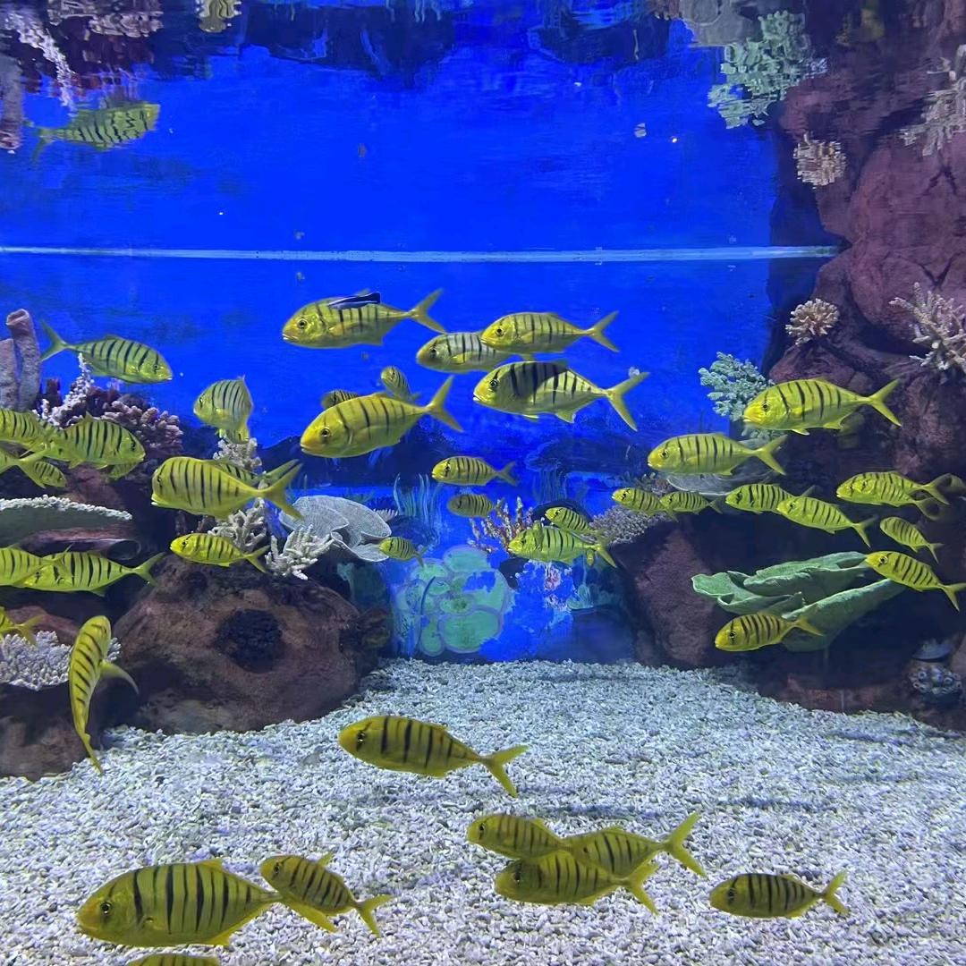 哇慕晏