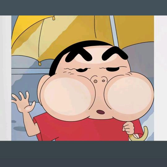 小猪麦兜涵✧