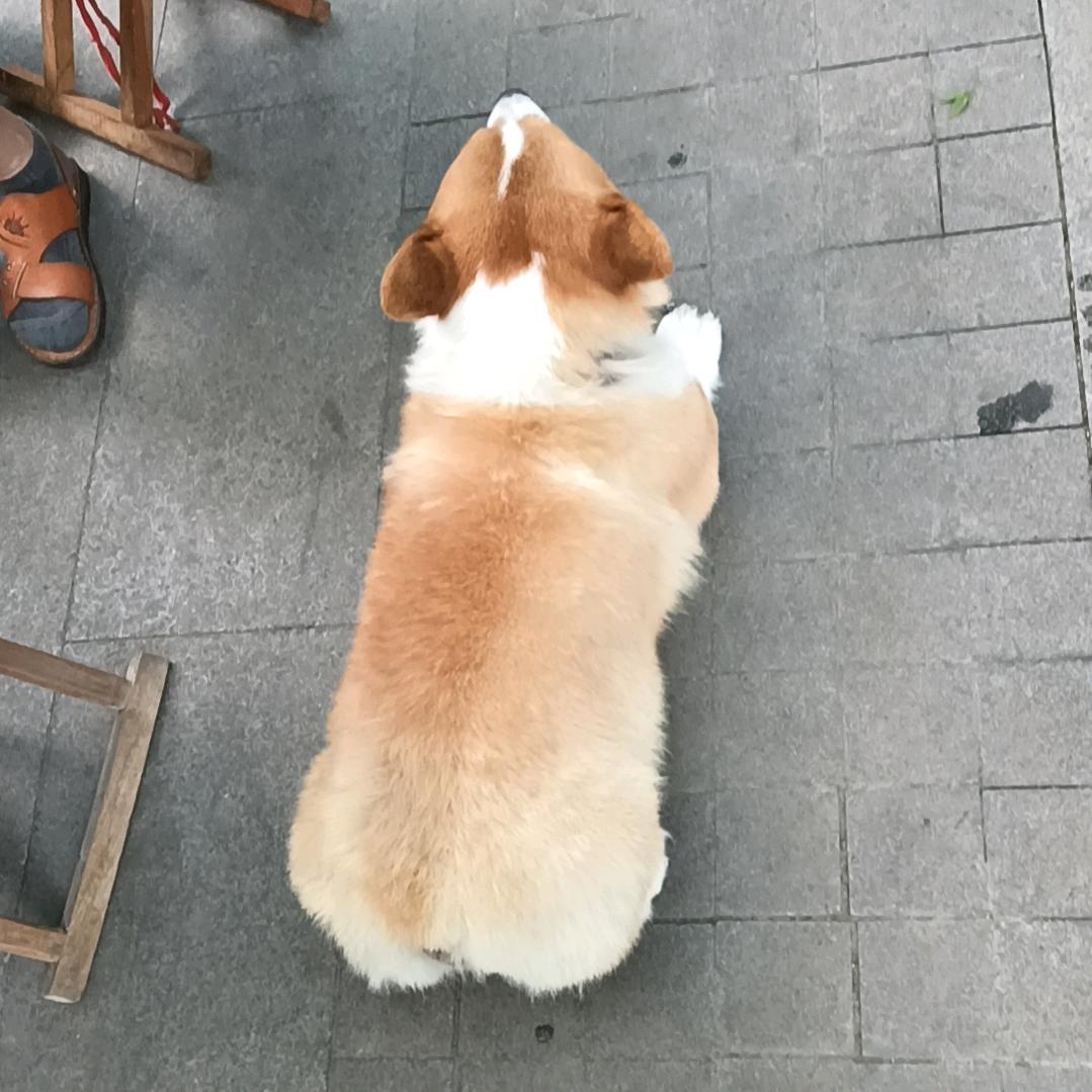 岁月