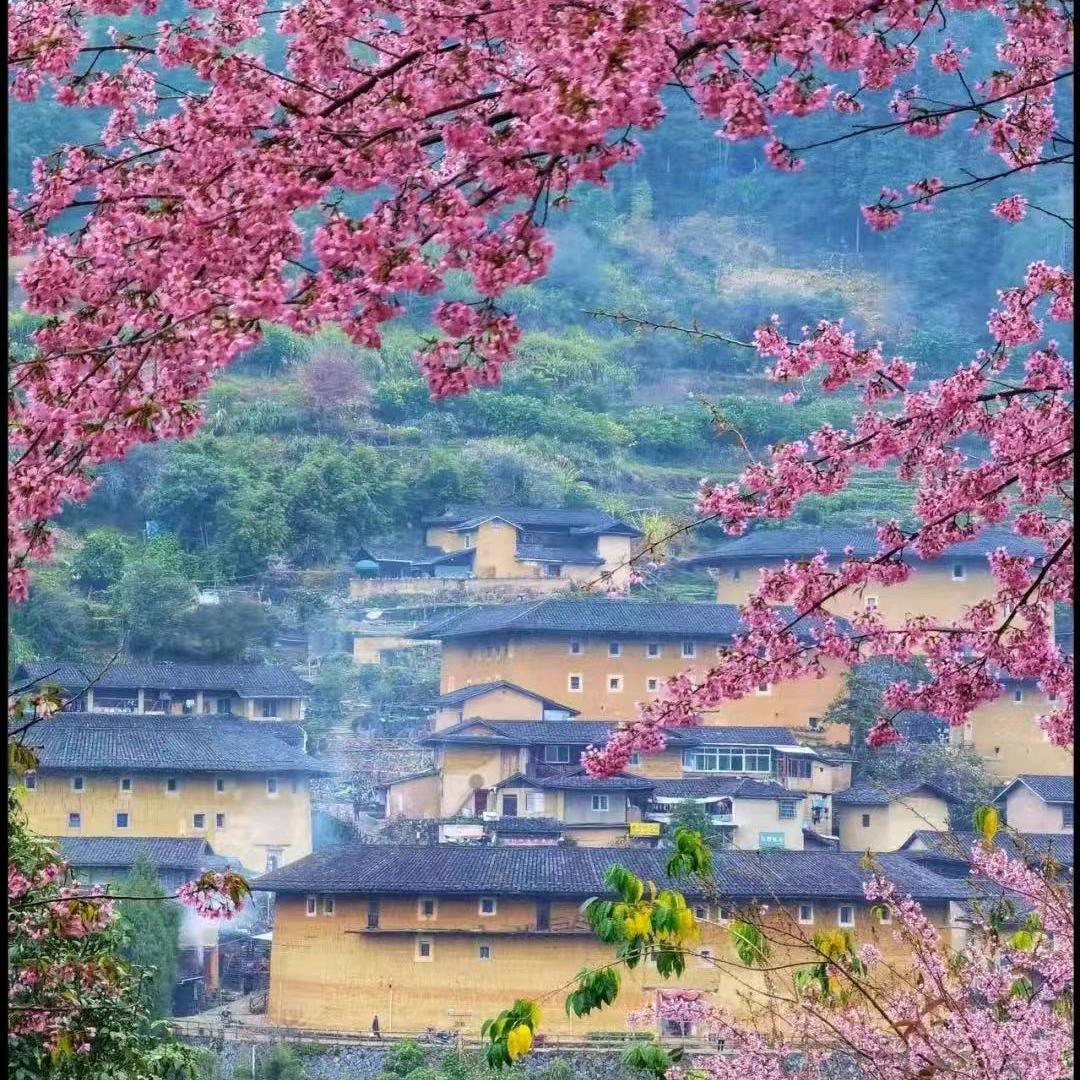 林晓༒