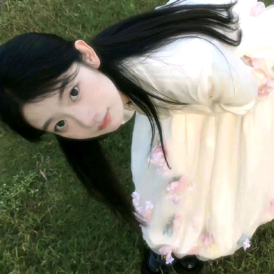 小本本
