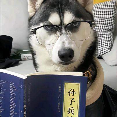 爆笑快车