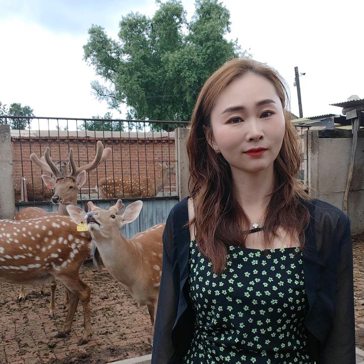 起航鹿业养殖场