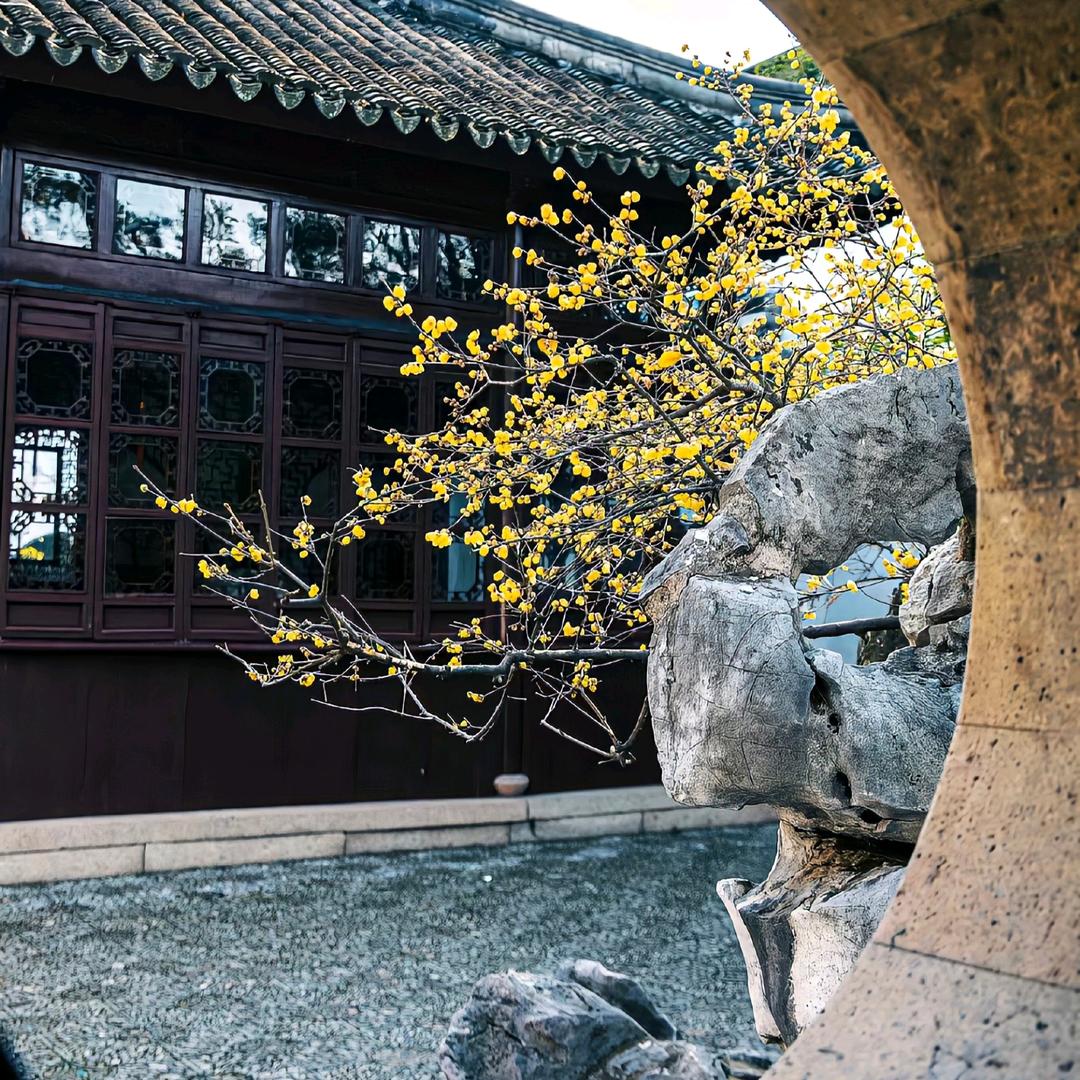 陌上桑