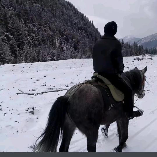 a^o^`性感小公牛ヅ