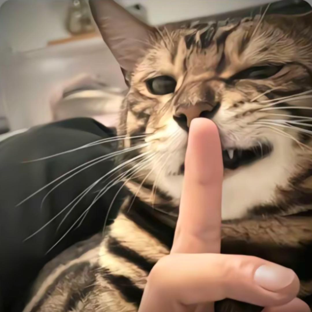 许愿