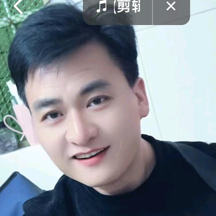 刘想林