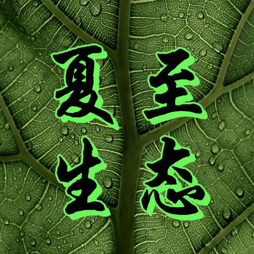 夏至生态艺术馆