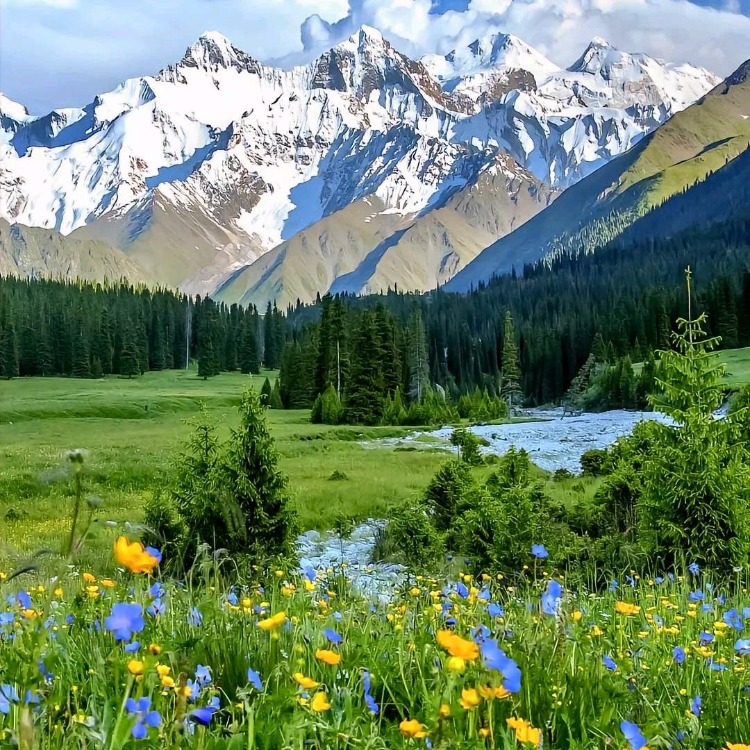 新疆酷游旅行社有限公司福利号