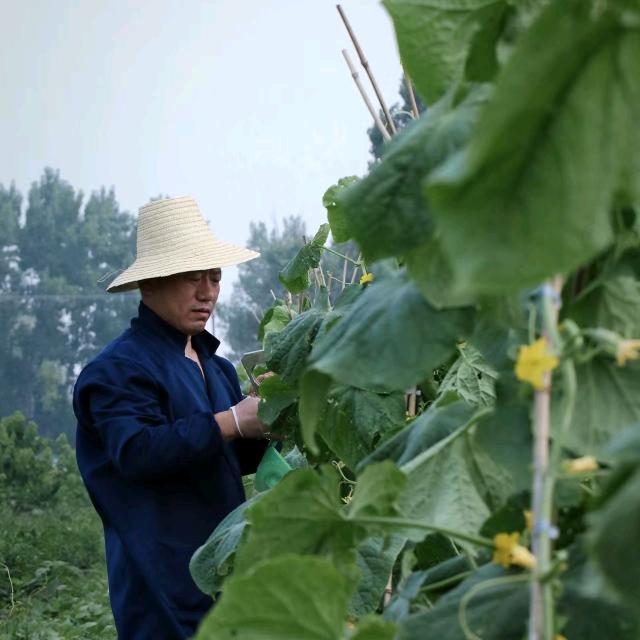 平谷二哥零售店甄选