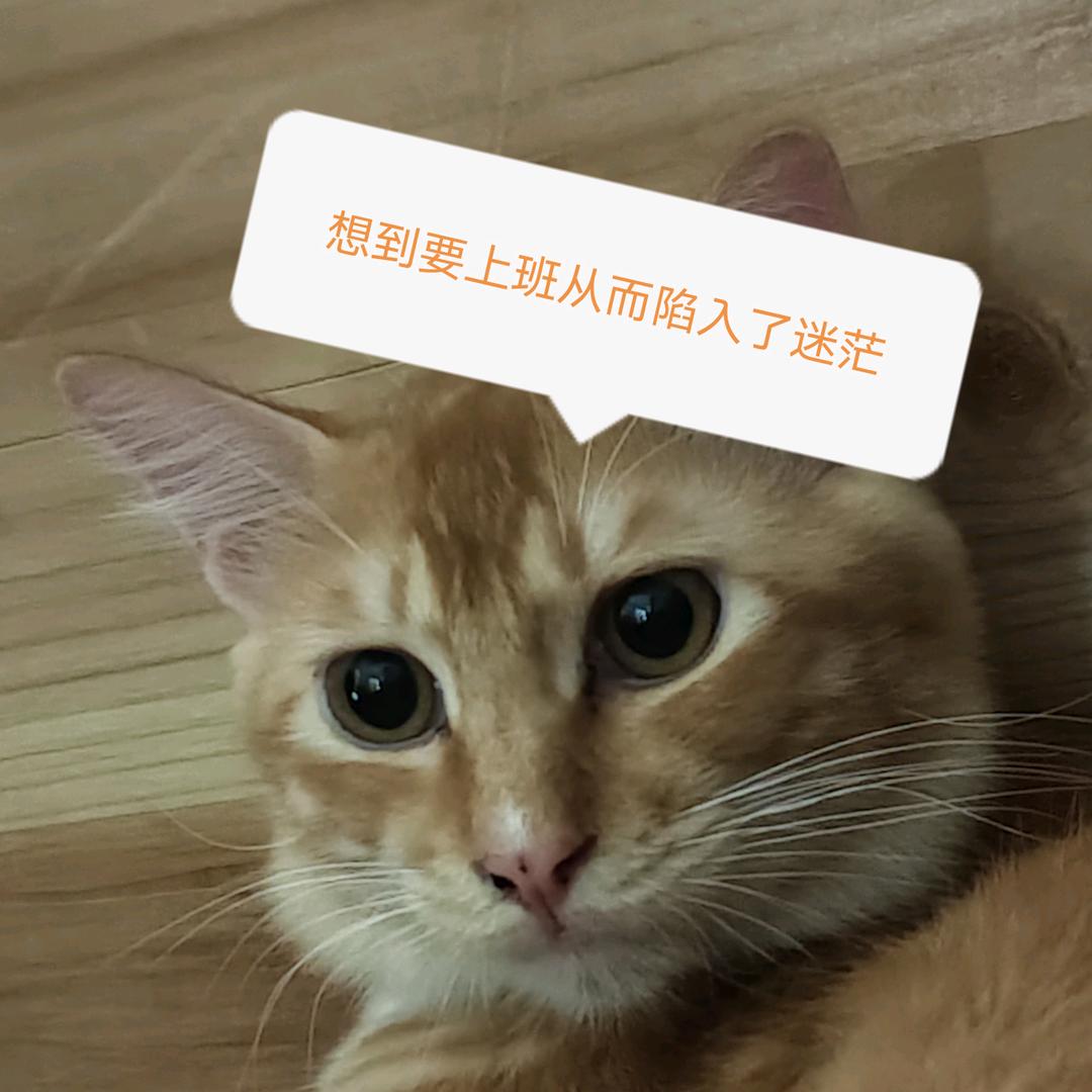 唔比啵我嘴
