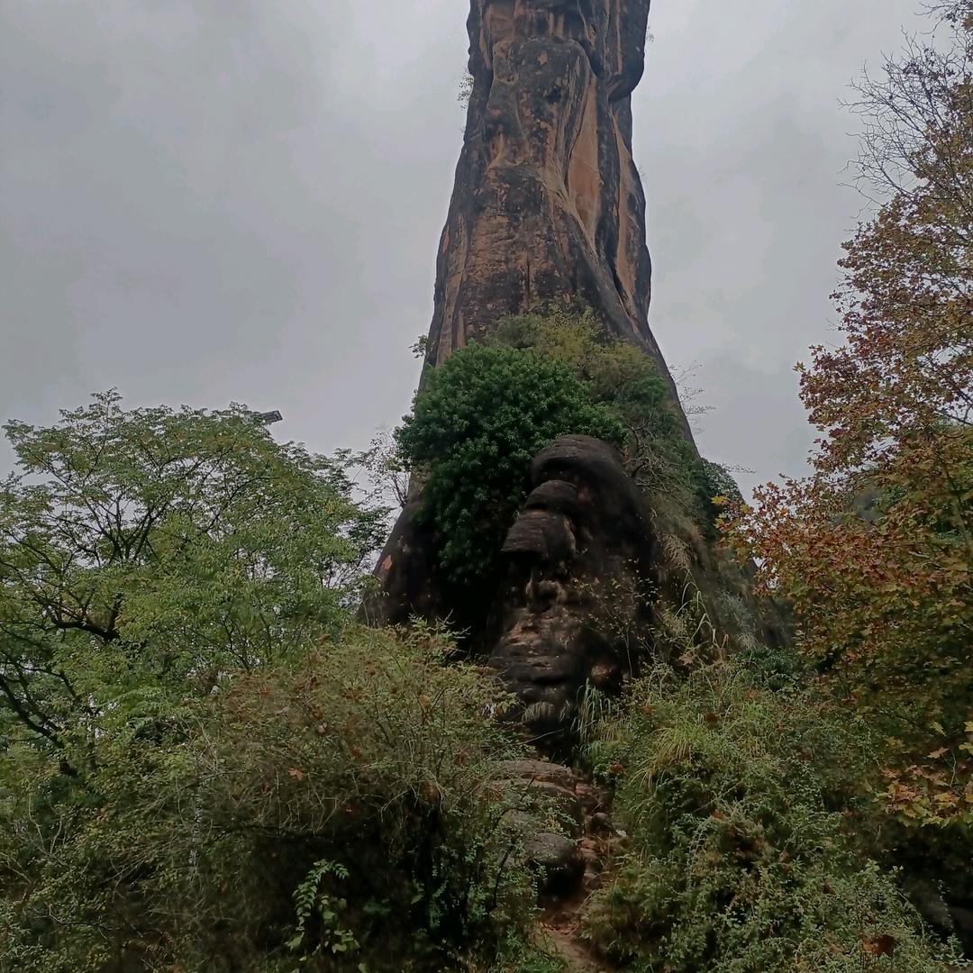 積累勤奋