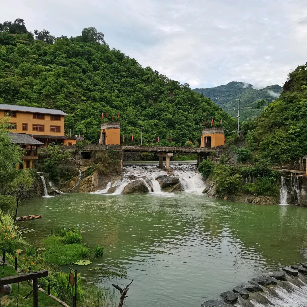 感恩《尊师可乐》
