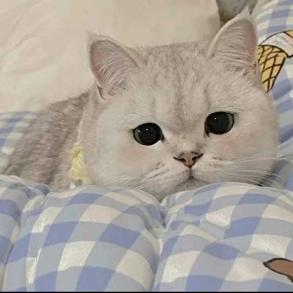 实实在在