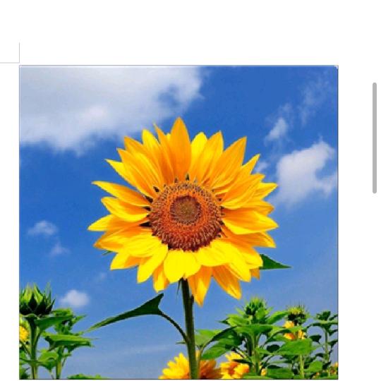 心❤️想事成！