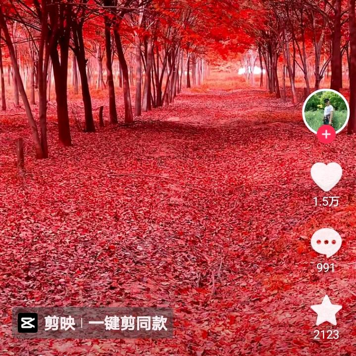 雷厉风行