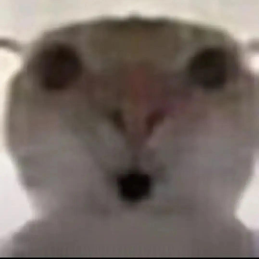 玩三角洲的小超