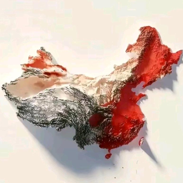 胡先生