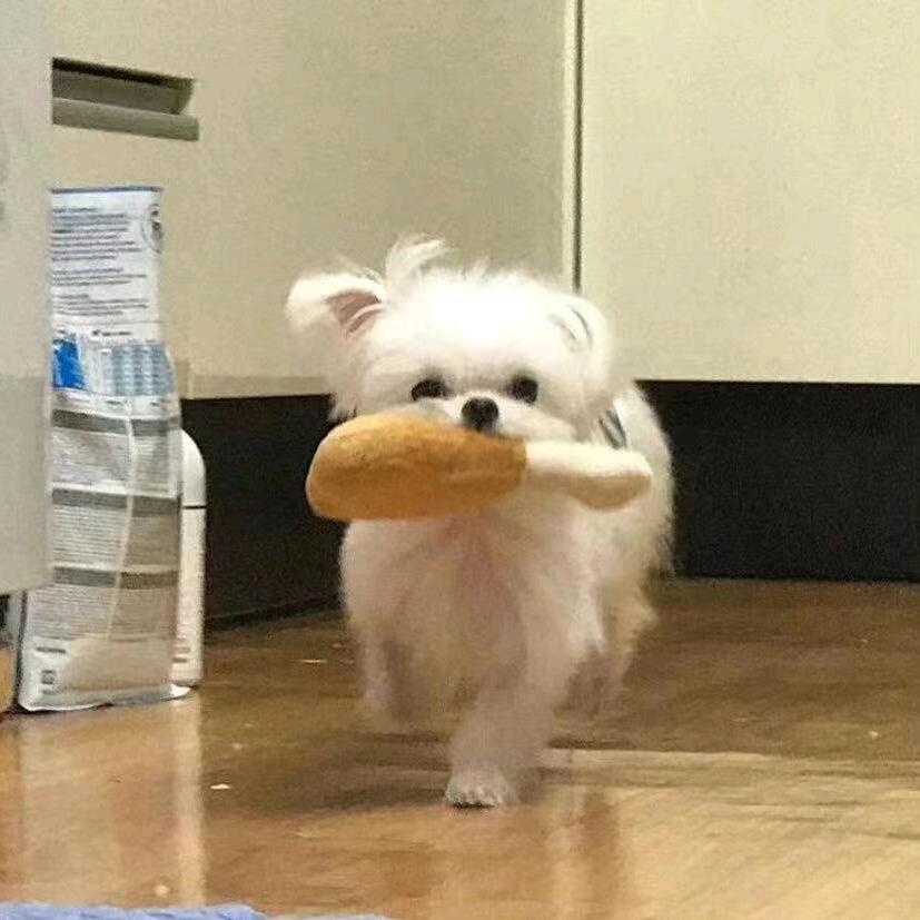 一點點💤