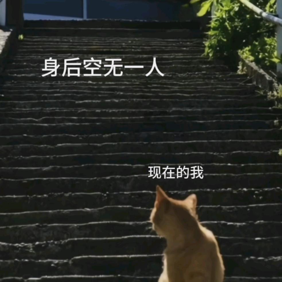 ฅ一生宠爱এ᭄ꦿ
