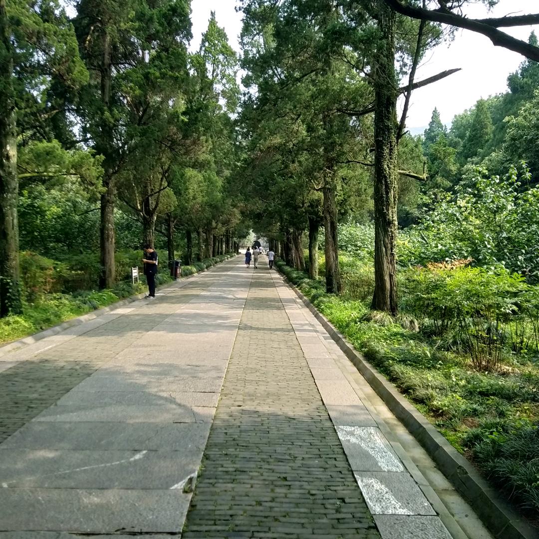 稳步向前