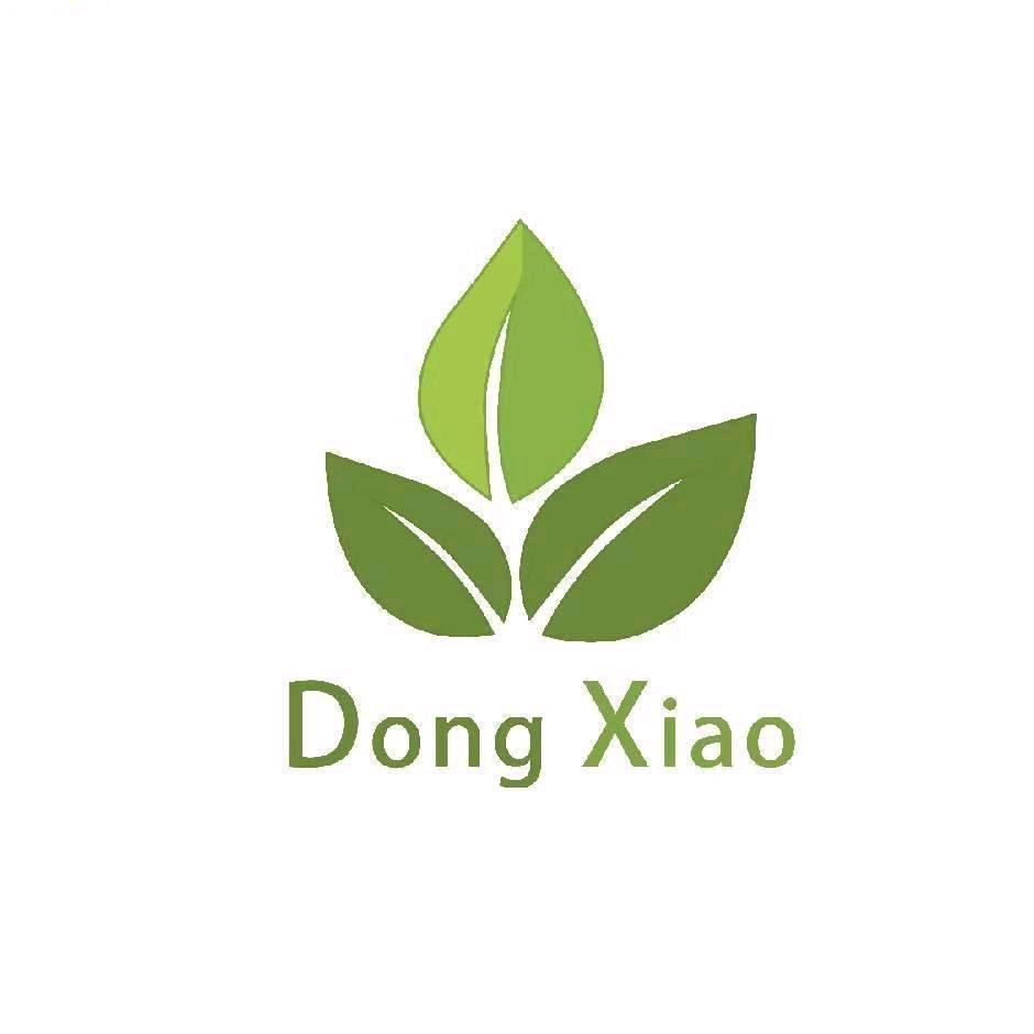 王方硕 东晓蒸汽发生器-免检锅炉