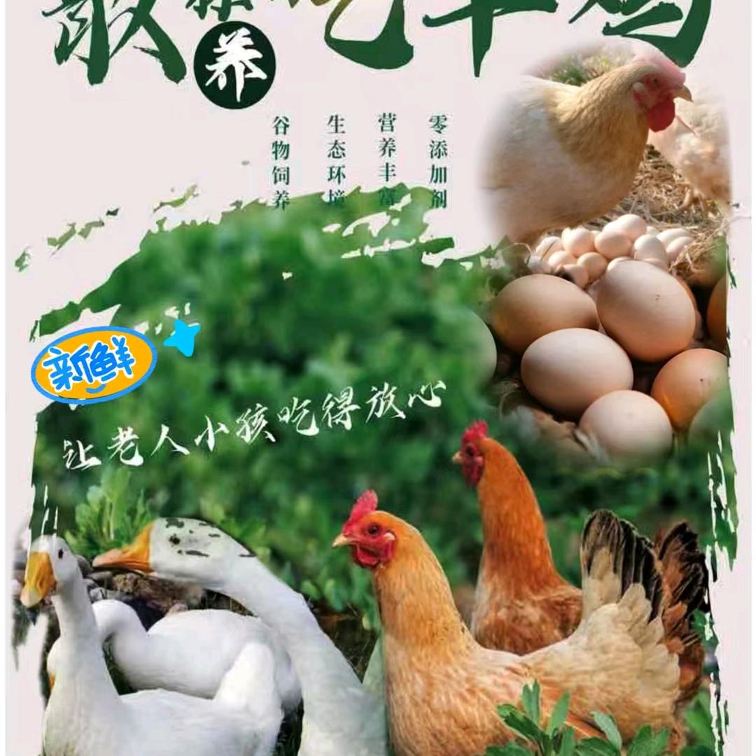 山林原生态农场