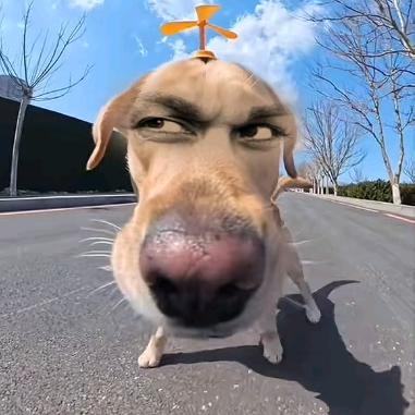 DOyou