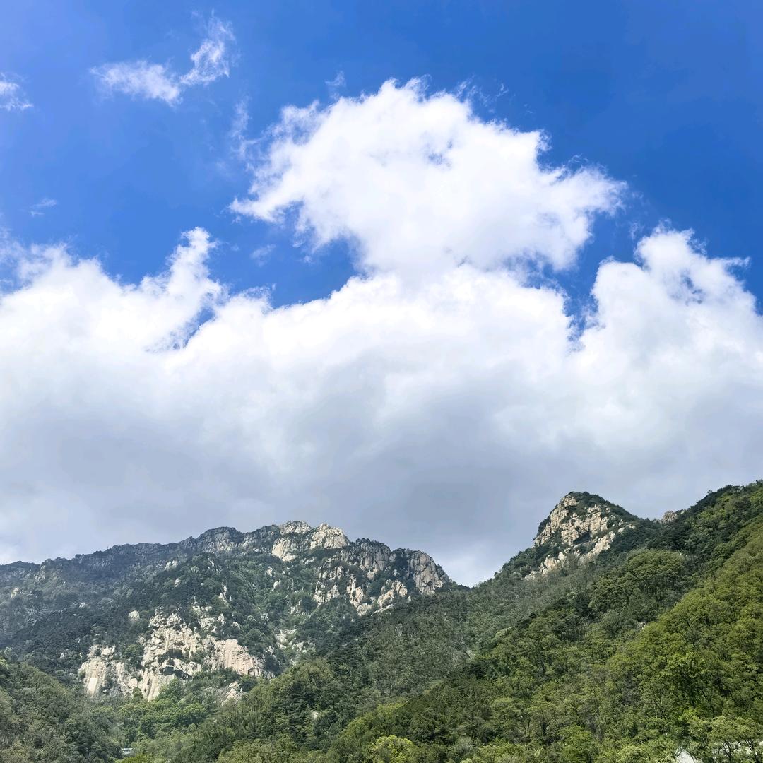 斯普林之歌