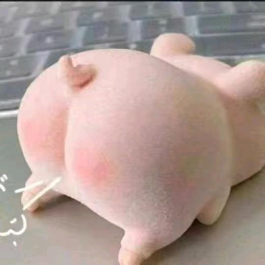 小团团吖