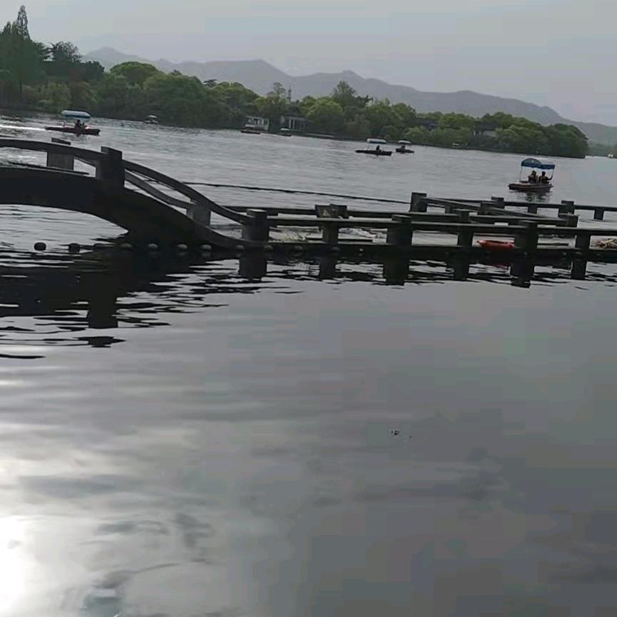 但愿人长久