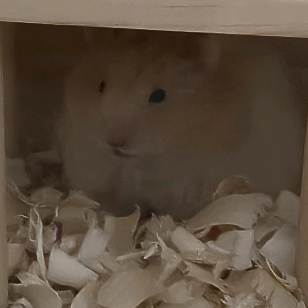 辞温以念
