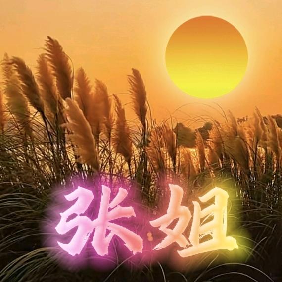 旭日★张姐