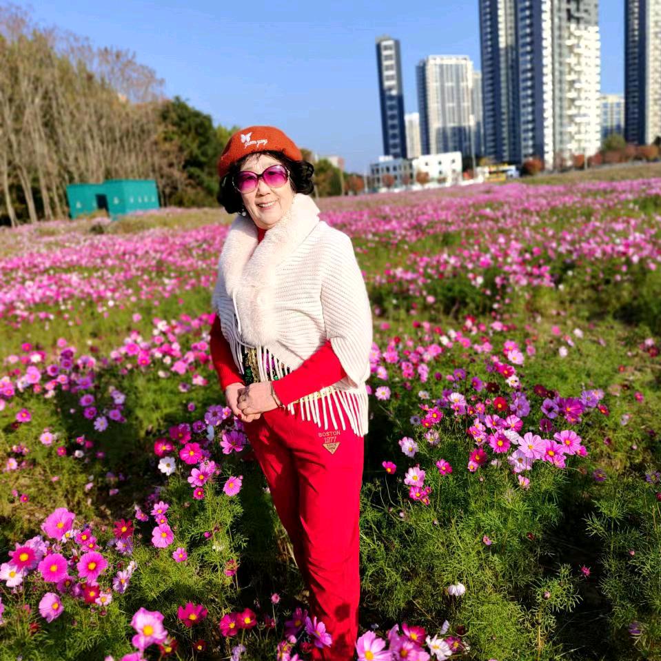 坚强不老松