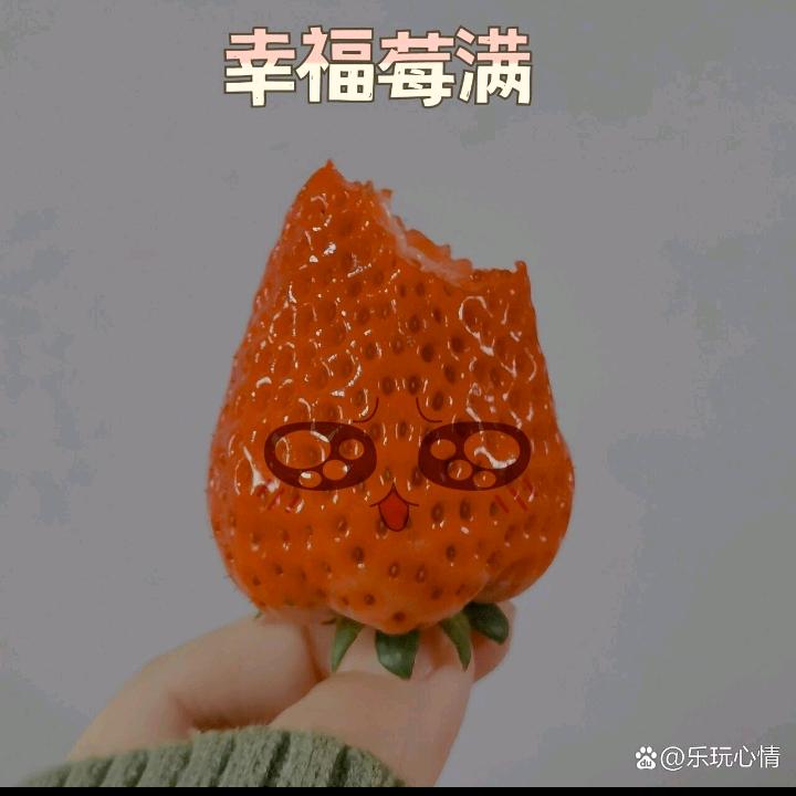 @红颜莓宝