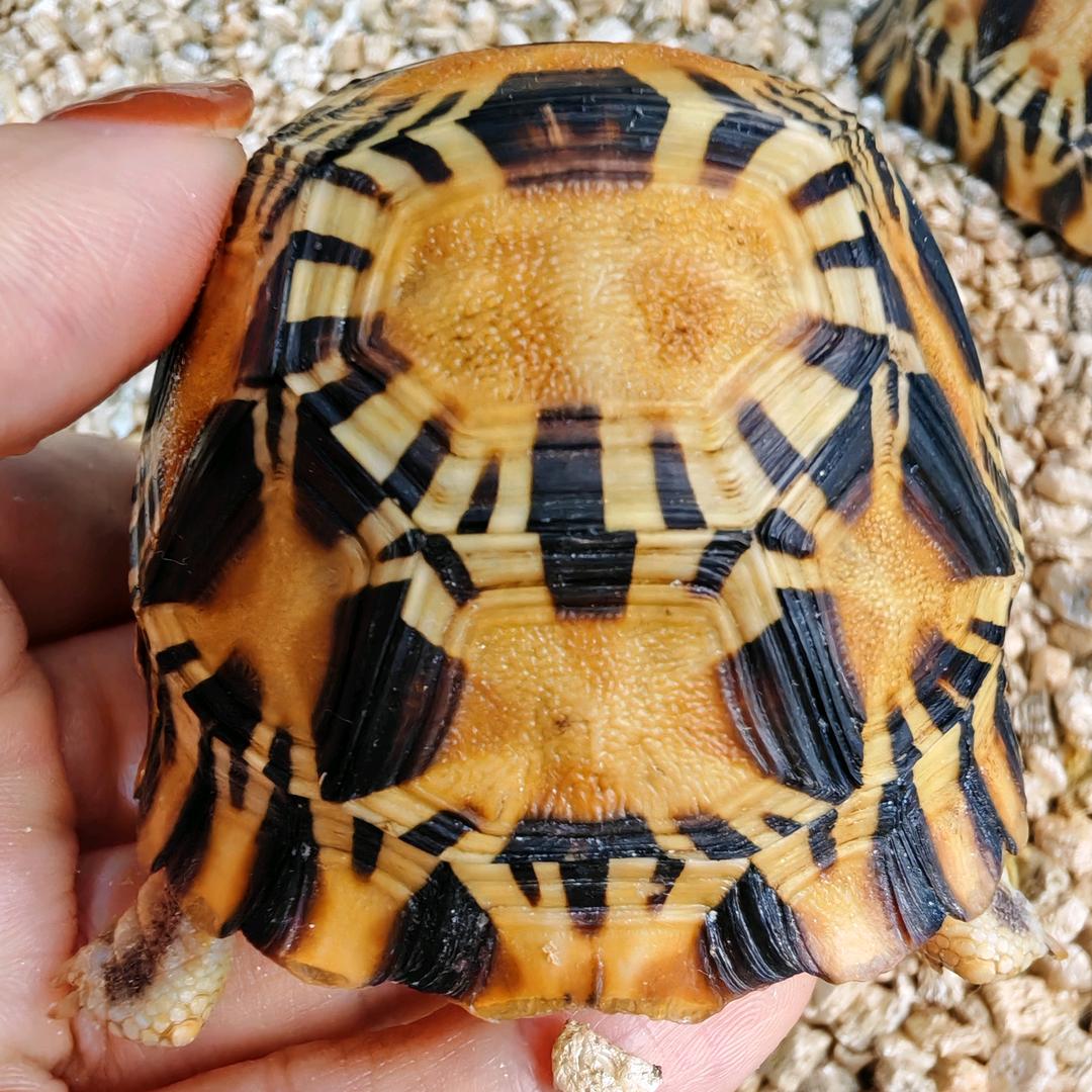 醒醒在这里