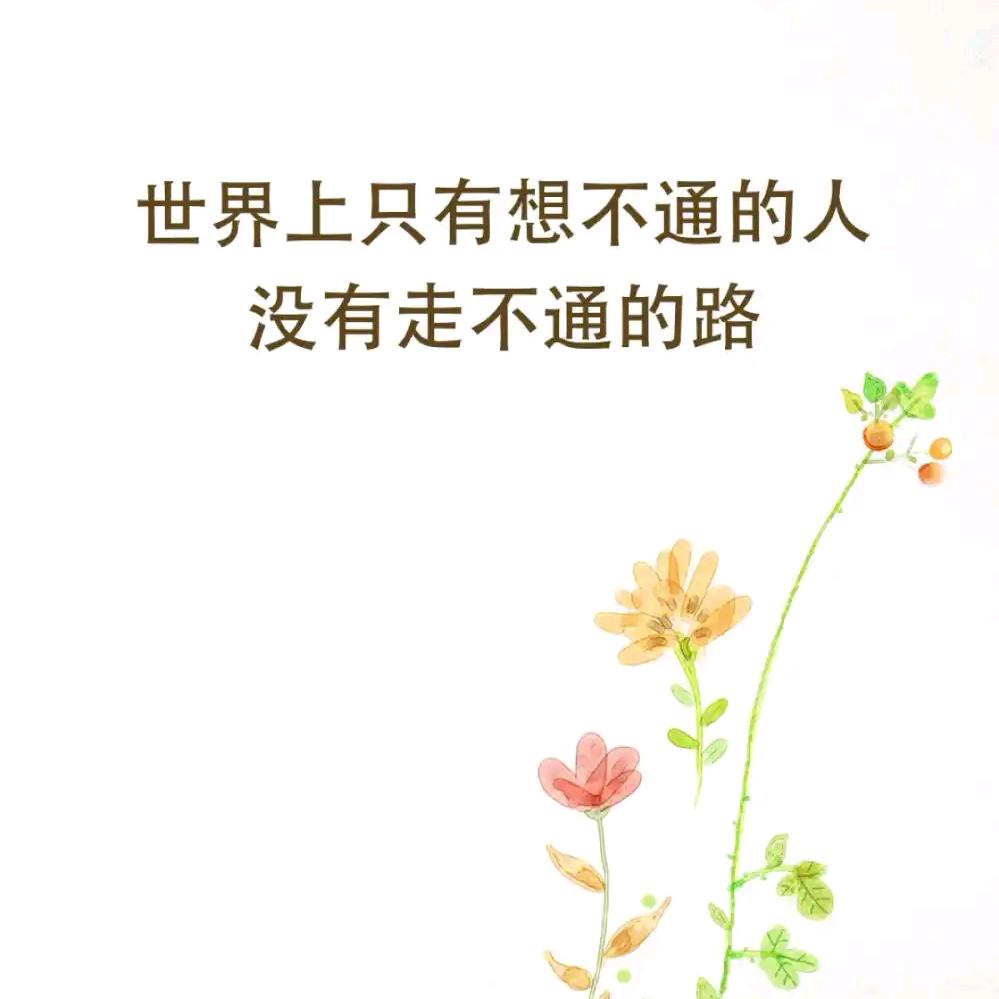 🍀轻风🍃暖阳🌼