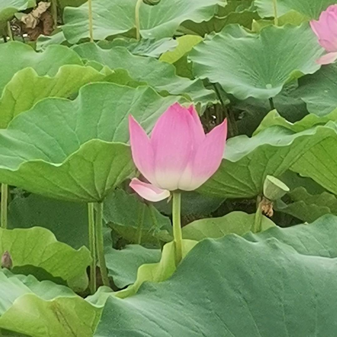 赵门府佛地缘
